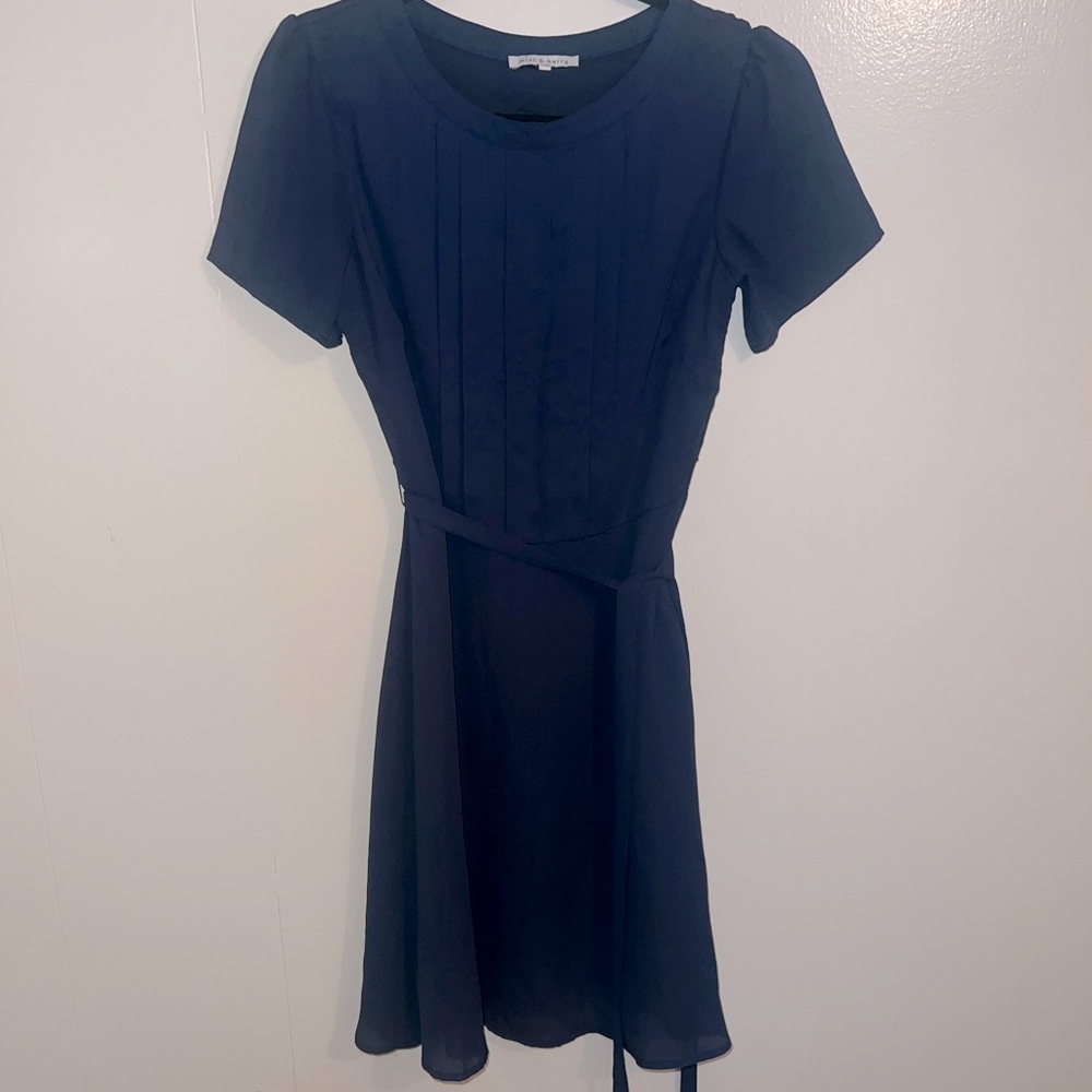 Blue Mint & Berry dress
